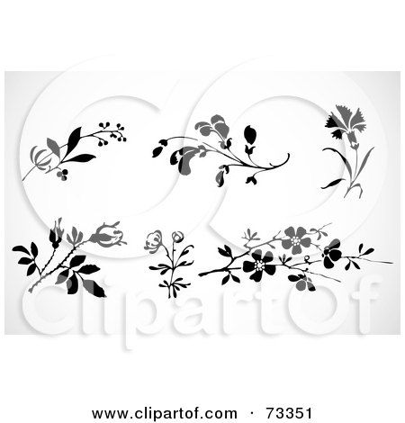 Royalty-Free (RF) Clipart Illustration of a Digital Collage Of Black And White Flowering Plants by BestVector