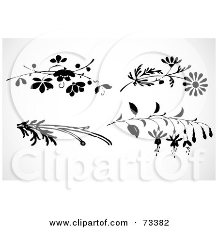 Royalty-Free (RF) Clipart Illustration of a Digital Collage Of Black And White Leafy Branches And Flowers by BestVector