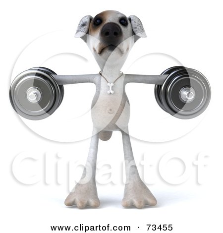Royalty-Free (RF) Clipart Illustration of a 3d Jack Russell Terrier Pooch Character Weightlifting With Dumbbells - Version 2 by Julos