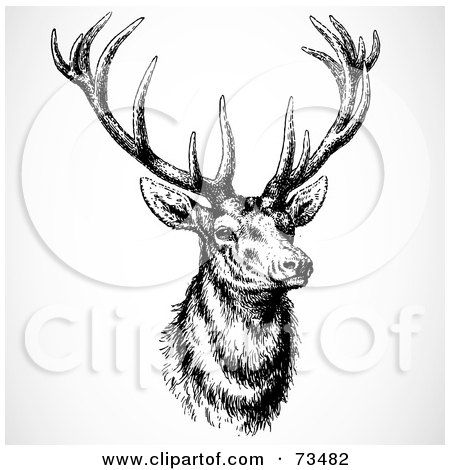 Royalty-Free (RF) Clipart Illustration of a Black And White Buck With Large Antlers by BestVector