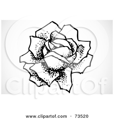 Royalty-Free (RF) Clipart Illustration of a Black And White Bloomed Rose With Large Petals by BestVector