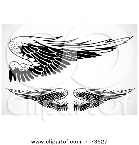 Royalty-Free (RF) Clipart Illustration of a Digital Collage Of Black And White Feathered Wings by BestVector