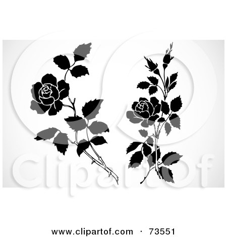 Royalty-Free (RF) Clipart Illustration of a Digital Collage Of Black And White Rose Branches by BestVector