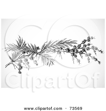 Royalty-Free (RF) Clipart Illustration of a Black And White Twig Branch by BestVector
