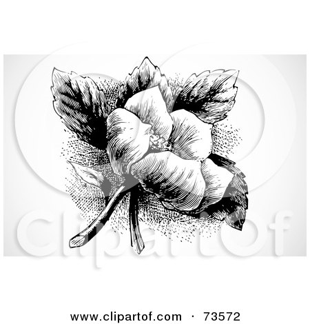 Royalty-Free (RF) Clipart Illustration of a Black And White Vintage Small Rose Flower With Leaves by BestVector