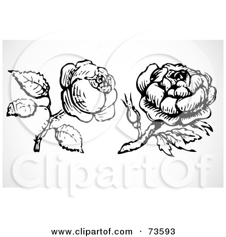 Royalty-Free (RF) Clipart Illustration of a Digital Collage Of Two Black And White Roses And Stems by BestVector