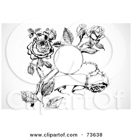 Royalty-Free (RF) Clipart Illustration of a Black And White Banner And Frame In A Rose Bush by BestVector