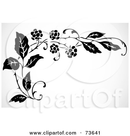 Royalty-Free (RF) Clipart Illustration of a Black And White Floral Blackberry Corner Border by BestVector