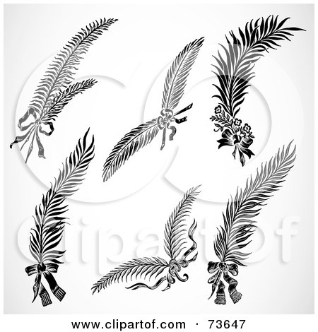 Royalty-Free (RF) Clipart Illustration of a Digital Collage Of Black And White Feathers by BestVector