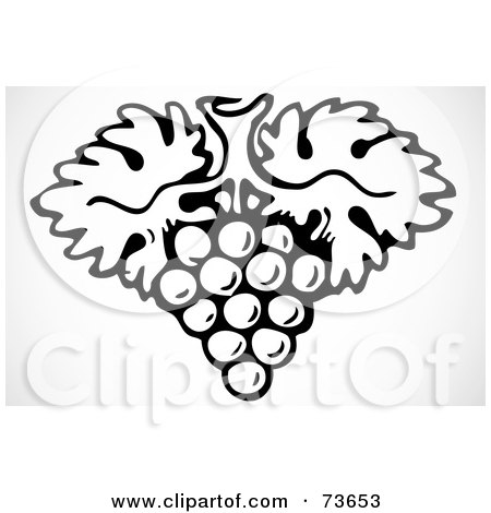 Royalty-Free (RF) Clipart Illustration of a Black And White Grape And Leaf Cluster by BestVector