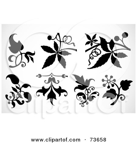 Royalty-Free (RF) Clipart Illustration of a Digital Collage Of Black And White Leaf Ornamental Designs - Version 2 by BestVector