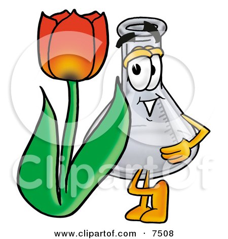 Clipart Picture of an Erlenmeyer Conical Laboratory Flask Beaker Mascot Cartoon Character With a Red Tulip Flower in the Spring by Mascot Junction
