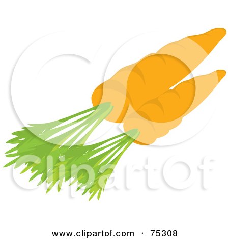 Royalty-Free (RF) Clipart Illustration of Two Organic Carrots With Leaves  by Rosie Piter