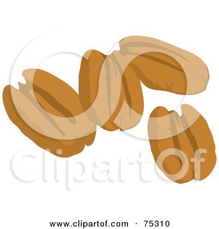 Royalty-Free (RF) Clipart Illustration of Four Pecan Nuts by Rosie Piter