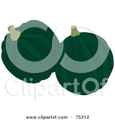 Royalty-Free (RF) Clipart Illustration of Two Dark Green Squash by Rosie Piter