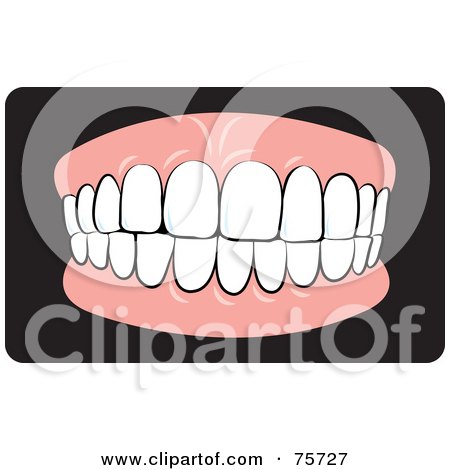 Royalty-Free (RF) Clipart Illustration of Healthy Teeth Biting Down by Lal Perera