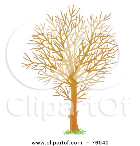 Royalty-Free (RF) Clipart Illustration of a Young Winter Season Tree With Bare Branches by Alex Bannykh