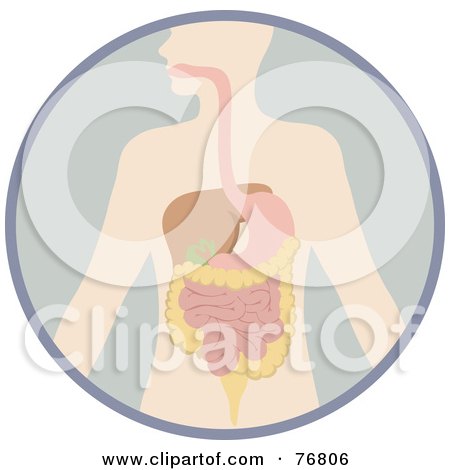 Royalty-Free (RF) Clipart Illustration of a Human Body With The Digestive System In A Circle by Rosie Piter