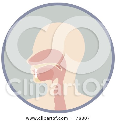 Royalty-Free (RF) Clipart Illustration of a Profiled Human Head, Nasal Passages And Mouth In A Circle by Rosie Piter