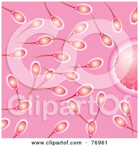Royalty-Free (RF) Clipart Illustration of a Pink Background Of Anxious Sperm Swimming Towards An Egg by michaeltravers
