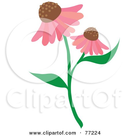 Royalty-Free (RF) Clipart Illustration of a Stem With Two Pink Echinacea Coneflowers by Rosie Piter