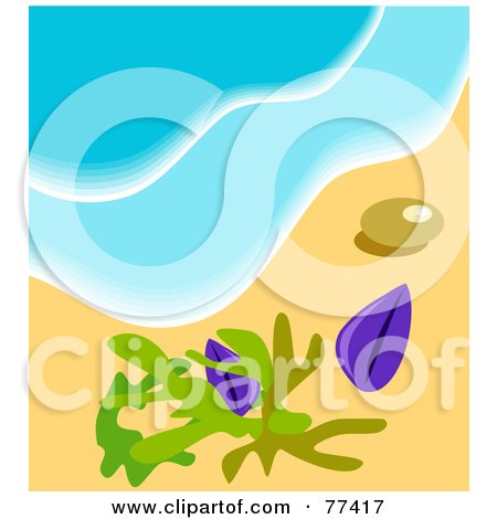 Royalty-Free (RF) Clipart Illustration of Seaweed And Shells On Sand At The Edge Of Surf by Prawny