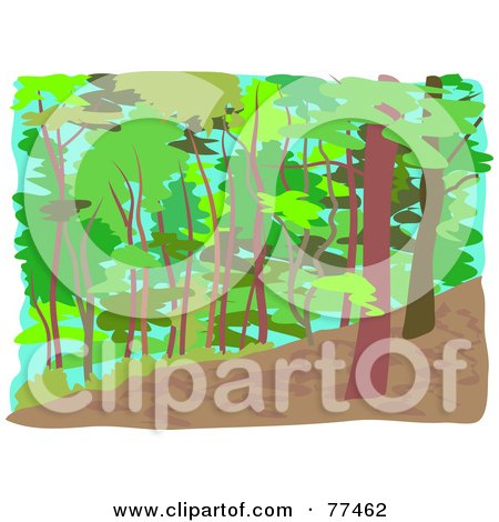 Royalty-Free (RF) Clipart Illustration of a Forest Of Tall Slender Trees by Prawny