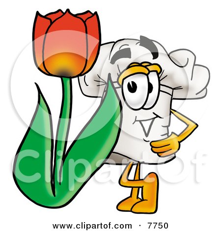 Clipart Picture of a Chefs Hat Mascot Cartoon Character With a Red Tulip Flower in the Spring by Mascot Junction