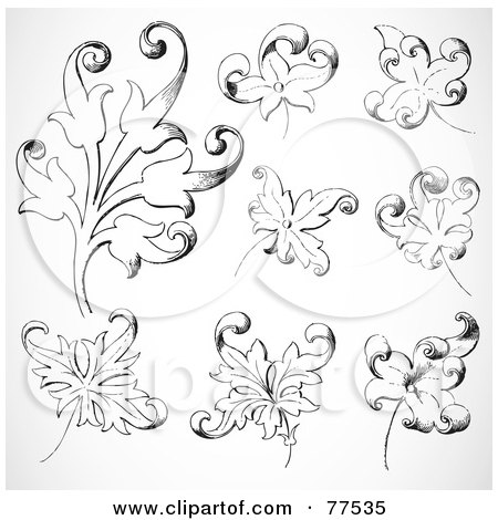 Royalty-Free (RF) Clipart Illustration of a Digital Collage Of Ornate Black And White Plant Leaves by BestVector