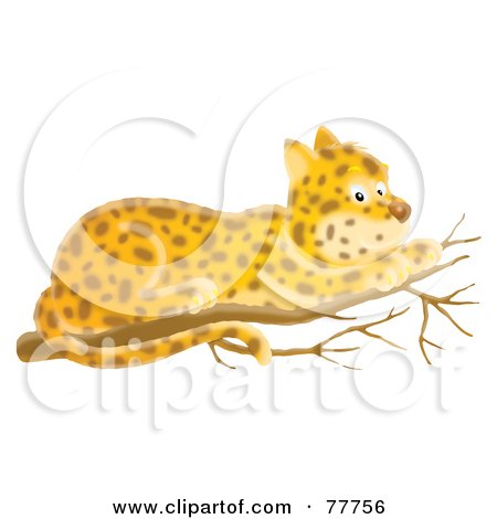 Royalty-Free (RF) Clipart Illustration of a Shy Leopard Resting On A Tree Branch by Alex Bannykh