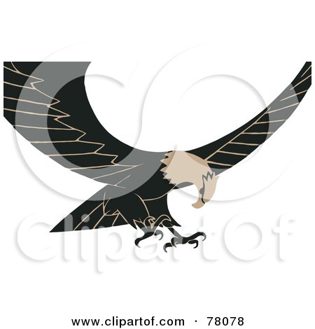 Royalty-Free (RF) Clipart Illustration of a Tan And Black Bald Eagle In Flight, Its Wings Spread by JVPD