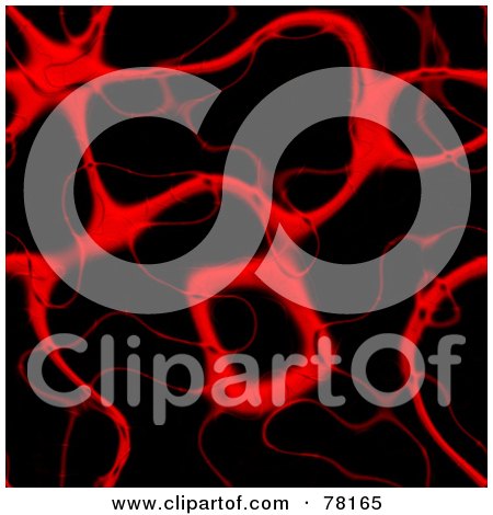 Royalty-Free (RF) Clipart Illustration of a Seamless Background Of Red Blood Veins And Arteries On Black by Arena Creative