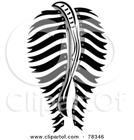 Royalty-Free (RF) Clipart Illustration of a Zebra Spine And Stripe Design by Cherie Reve