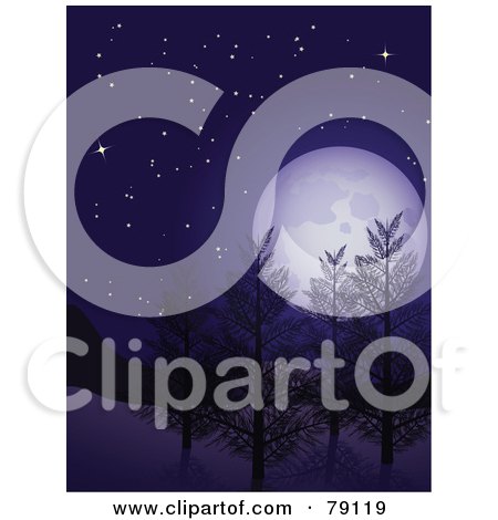 Royalty-Free (RF) Clipart Illustration of a Vertical Background Of The Full Moon Over Winter Trees At Night Under A Starry Sky by elaineitalia