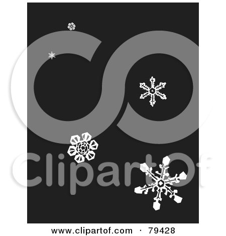 Royalty-Free (RF) Stock Illustration of a Dark Gray Background With White Falling Winter Snowflakes by xunantunich