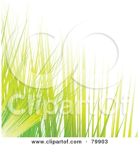 Royalty-Free (RF) Clipart Illustration of a Background Of Green And Yellow Blades Of Grass by MilsiArt