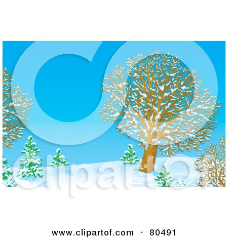 Royalty-Free (RF) Clipart Illustration of a Blue Winter Day With Bare Trees In The Snow by Alex Bannykh