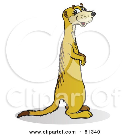 Royalty-Free (RF) Clipart Illustration of a Smiling Meerkat Standing And Facing Right by Snowy