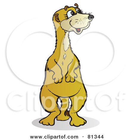 Royalty-Free (RF) Clipart Illustration of a Meerkat Standing And Looking Right by Snowy