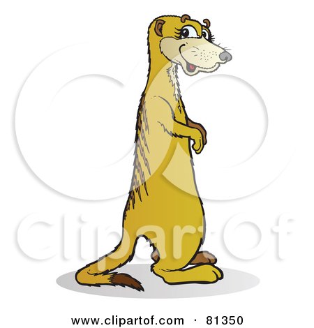 Royalty-Free (RF) Clipart Illustration of a Meerkat Standing And Facing Right by Snowy