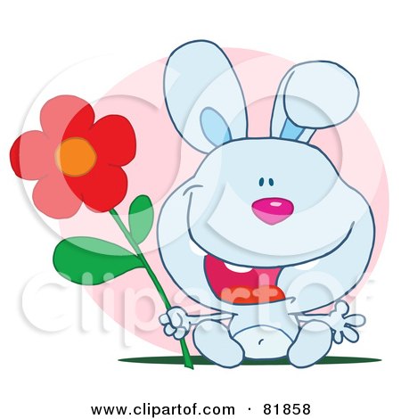 Royalty-Free (RF) Clipart Illustration of a Happy Blue Bunny Rabbit Holding A Flower In Front Of A Pink Circle by Hit Toon