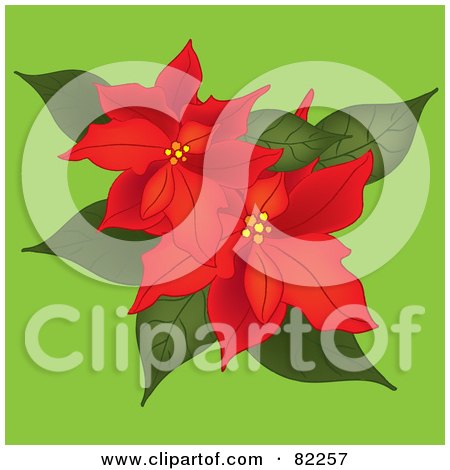 Royalty-Free (RF) Clipart Illustration of Two Red Poinsettias On Green by Pams Clipart