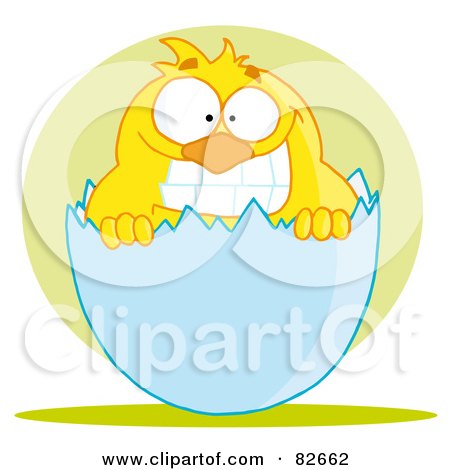 Royalty-Free (RF) Clipart Illustration of a Yellow Chick Grinning And Peeking Out Of An Egg Shell by Hit Toon