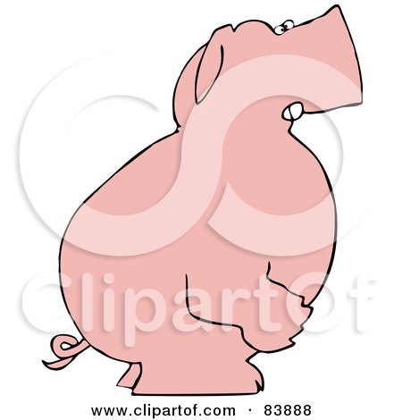 Royalty-Free (RF) Clipart Illustration of a Mad Pink Pig Standing And Facing To The Right by djart