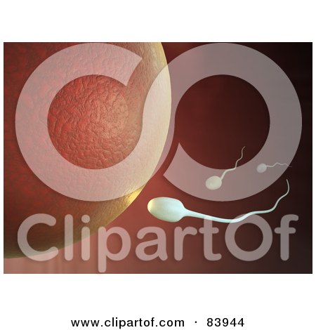 Royalty-Free (RF) Clipart Illustration of 3d White Sperm Swimming To An Egg by Mopic