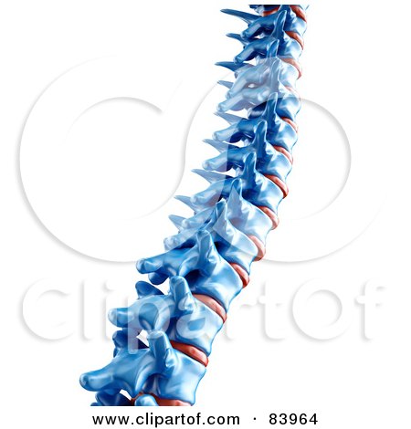 Royalty-Free (RF) Clipart Illustration of a 3d Blue Human Spine by Mopic
