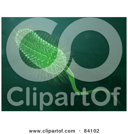 Royalty-Free (RF) Clipart Illustration of a Green 3d Bacteria Over Green by Mopic
