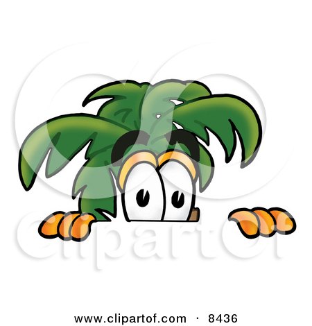 Clipart Picture of a Palm Tree Mascot Cartoon Character Peeking Over a Surface by Mascot Junction