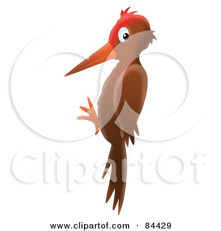 Royalty-Free (RF) Clipart Illustration of an Airbrushed Woodpecker In A Vertical Position by Alex Bannykh