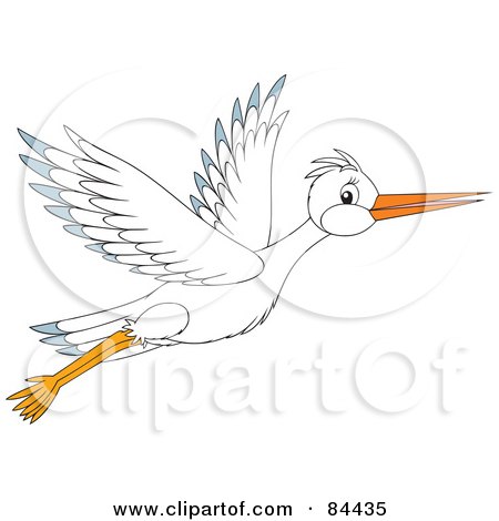 Royalty-Free (RF) Clipart Illustration of a White Stork Bird In Flight by Alex Bannykh
